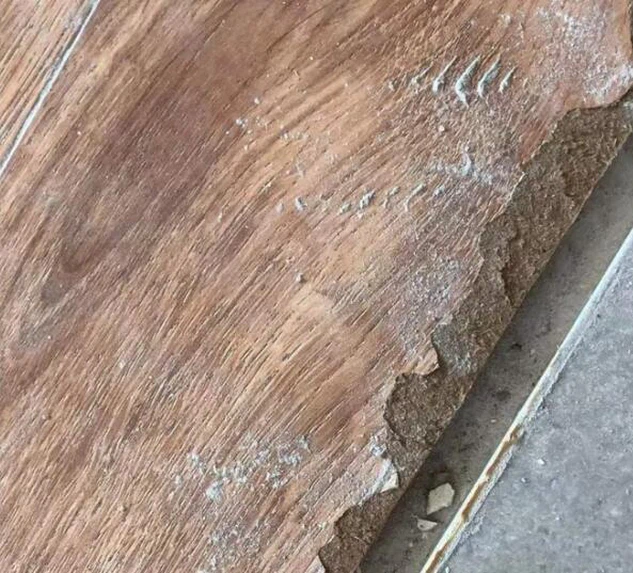 QQ20230617102655 QQ20230617102655