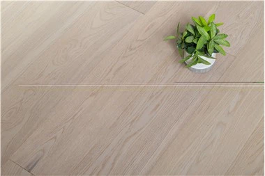 501-13 Ek Putih Susu